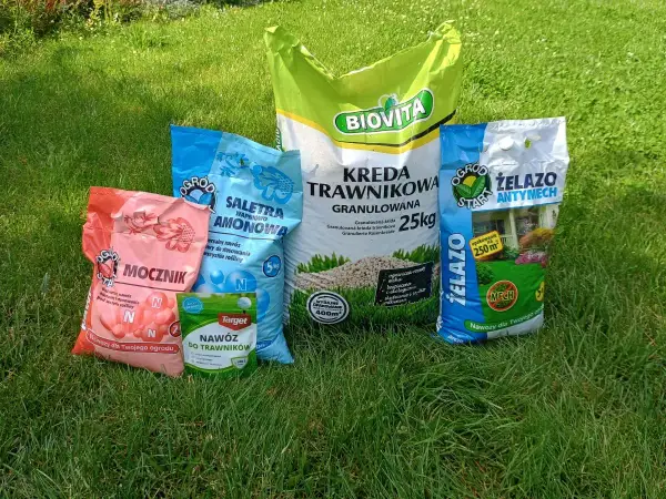 Na trawniku leżą różne nawozy: mocznik, saletra amonowa, kreda trawnikowa, nawóz do trawników i żelazo antymech. To wszystko, czego potrzebuje Twój ogród, by pięknie rosnąć.