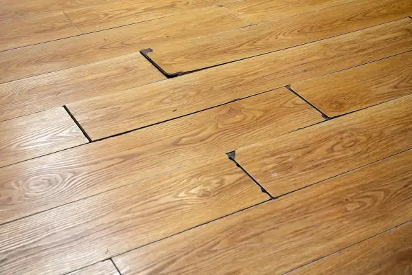 Suelo de madera con tablas levantadas, revelando un oscuro moho negro debajo.