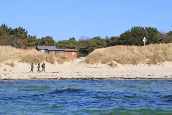 Drei Angler spazieren am Strand von Bornholm entlang, vorbei an roten Häusern und Dünen.