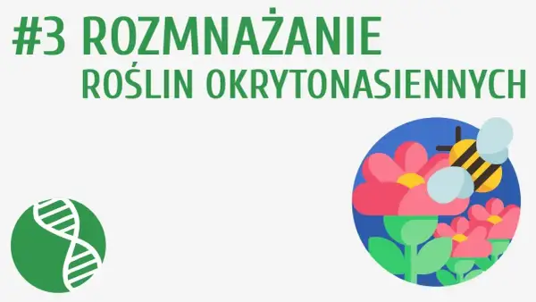 Jak rozmnażają się rośliny nasienne - zaskakujące procesy i różnice