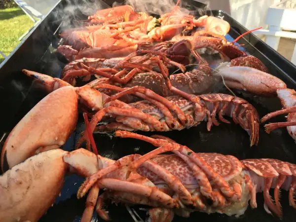 Une grande quantité de homard pas cuit est posée sur un plateau, dégageant une légère vapeur.