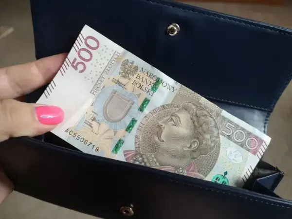 800 plus: Do kiedy wniosek? Nie strać pieniędzy!
