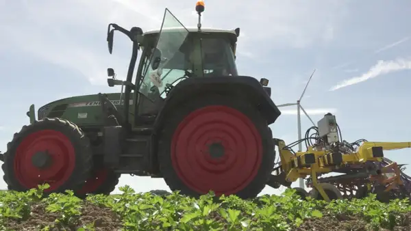 Ein grüner Traktor mit roter Felge arbeitet auf einem Feld. Die Maschine ist mit einem gelben Anbaugerät ausgestattet, das zeigt, wie wird Reis geerntet.