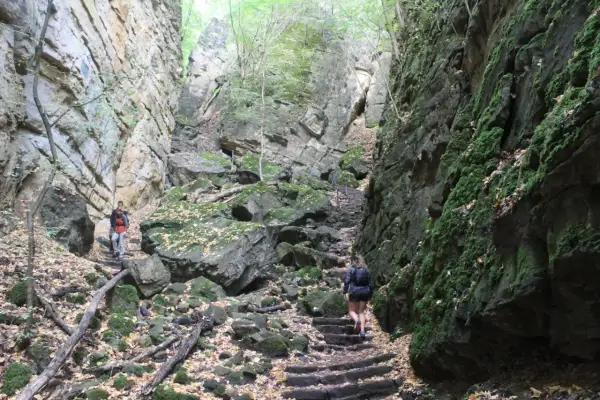 Randonneurs dans un canyon rocheux, un sentier escarpé bordé de mousse et de feuilles mortes. Un paysage qui rappelle la beauté sauvage d'une petite Suisse luxembourgeoise.