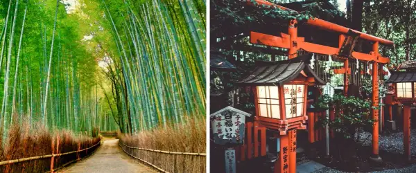 Japonia: Co zobaczyć? Przewodnik po najpiękniejszych miejscach