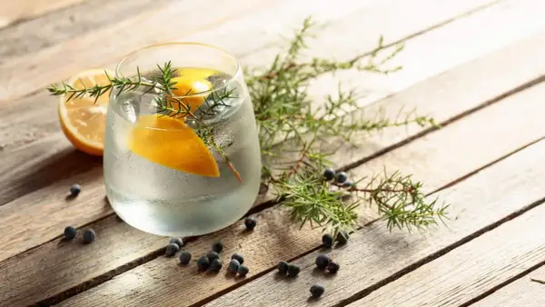 Erfrischendes Getränk mit Zitrone und Wacholder. Auch in der Schwangerschaft kann man sich mit einem alkoholfreien Tonic Water erfrischen.