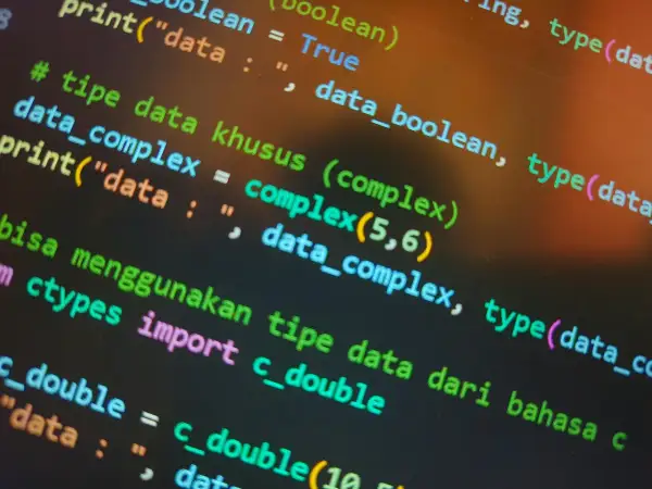 Code Python affichant des types de données complexes. On y voit des exemples de `complex(5,6)` et l'importation de `c_double` pour obtenir la taille de fichier.