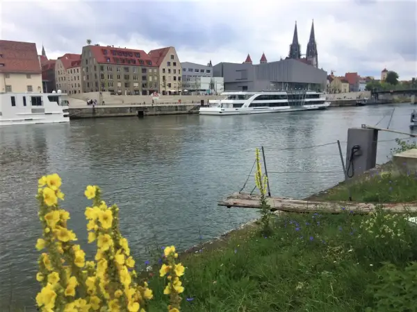 Schiff auf der Donau vor Regensburgs Highlights: historische Gebäude, Domtürme und blühende Wiesen.