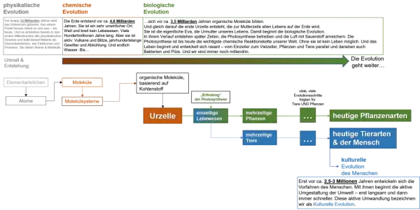 Schema der Evolution: Von Elementarteilchen über Moleküle und Urzellen zur biologischen Evolution mit Pflanzen, Tieren und dem Menschen.