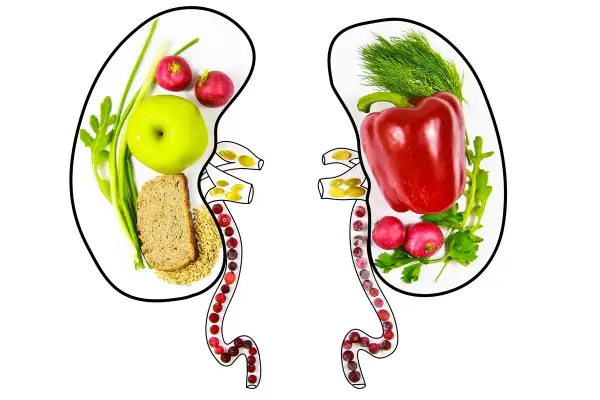 Zdrowa dieta to klucz do tego, jak dbać o nerki przy cukrzycy. Na ilustracji nerki wypełnione owocami, warzywami i pełnoziarnistym pieczywem.
