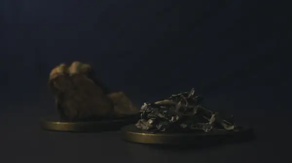 Kawałek kory i garść liści, być może składniki do rytuału z changa dmt.