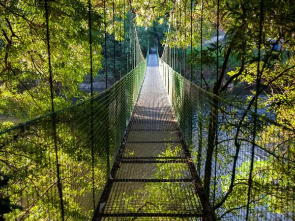 Un puente colgante de Noia se adentra en un bosque frondoso, con el agua reflejando la luz entre los árboles.