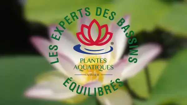 Logo "Les Experts des Bassins" avec une fleur de lotus et le texte "Plantes Aquatiques Équilibrées", évoquant l'aquaculture plante.