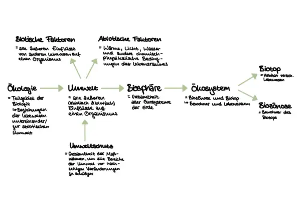 Schema zeigt ökologische Begriffe. Abiotische Faktoren wie Wasser beeinflussen die Umwelt.