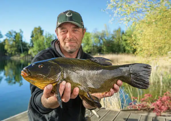 Glücklicher Angler präsentiert stolz seinen Fang: einen stattlichen Fisch, der beim Maifisch angeln an Land gezogen wurde.