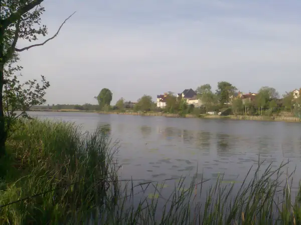 Spokojne jezioro wilanowskie z domami na brzegu i zielenią.