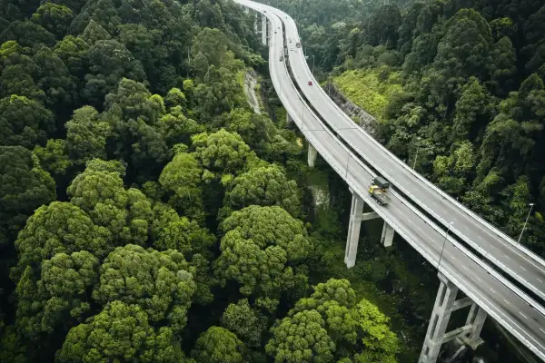Droga wijąca się przez gęsty las, z ciężarówką symbolizującą pkd transport drogowy.