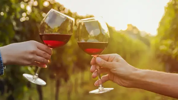 Dwie ręce wznoszą kieliszki z czerwonym winem, celebrując smak Cannonau di Sardegna wśród winorośli w złotym świetle zachodzącego słońca.
