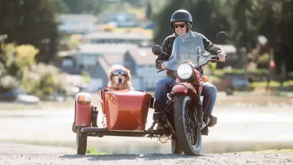Hombre en moto con su perro en un sidecar para perros moto, ambos con gafas de sol.