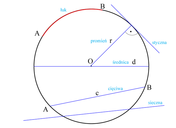 Ilustracja geometryczna z okręgiem, promieniem, średnicą, łukiem, cięciwą, sieczną i styczną.