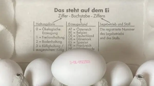 Eierstempel Bedeutung: Die Zahl 2 steht für Bodenhaltung, DE für Deutschland. Der Stempel erklärt die Herkunft und Haltungsform von Eiern.