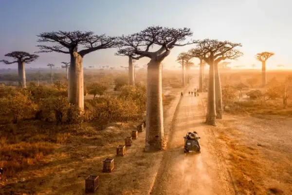 Najlepsze atrakcje na Madagaskarze, które musisz zobaczyć podczas wakacji