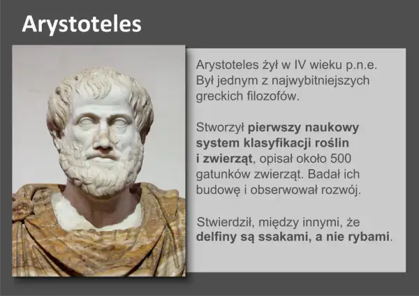 Busta Arystotelesa, filozofa, który stworzył pierwszy naukowy system klasyfikacji organizmów, opisując rośliny i zwierzęta.