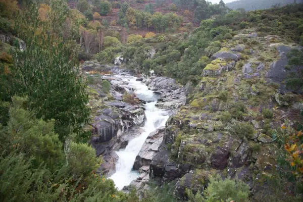 El agua desciende en cascada por la fervenza da feixa, rodeada de rocas cubiertas de musgo y vegetación frondosa.