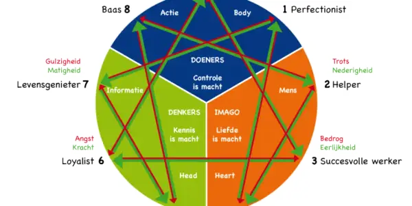 Diagram toont verschillende type mensen, zoals de Perfectionist, Helper en Succesvolle werker, met hun kenmerken en onderlinge relaties.