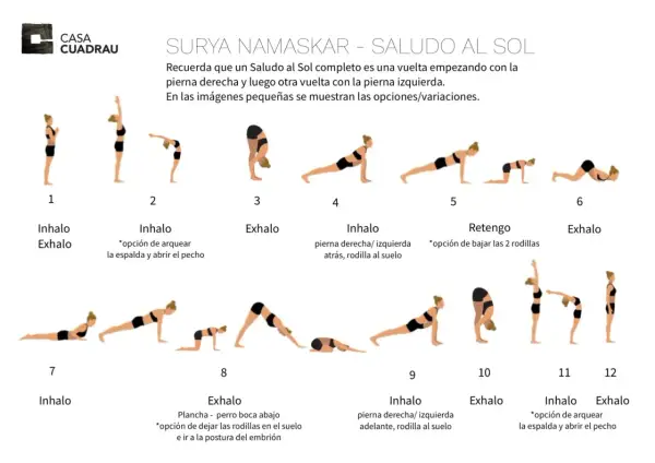 Secuencia de posturas de yoga para el saludo al sol en sánscrito (Surya Namaskar).