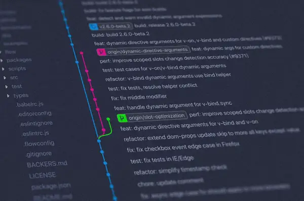 Visualisation d'un historique Git, montrant des branches et des commits. On y voit des fichiers comme `package.json` et des messages de commit, dont un mentionnant `node fs`.