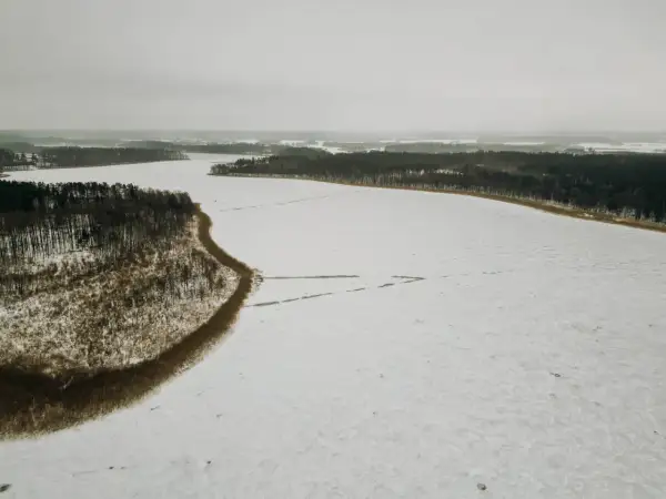 Zimowy krajobraz: zamarznięte jezioro Tyrkło otoczone lasem. Śnieg pokrywa taflę wody, tworząc białą, rozległą przestrzeń.