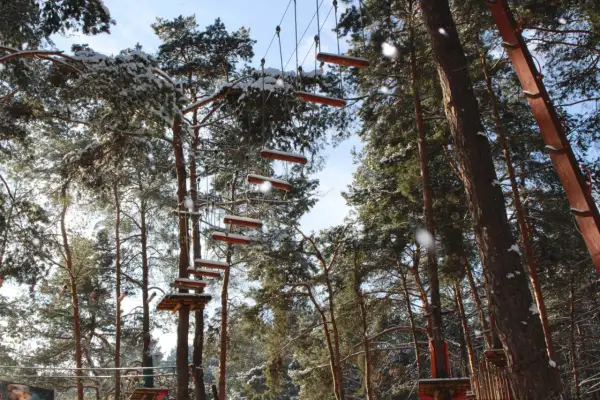 Park linowy Kielce: Który wybrać? Przewodnik dla rodzin!