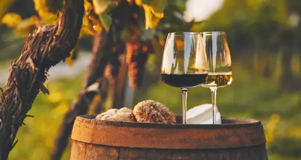 Zwei Gläser Wein, rot und weiß, stehen auf einem Holzfass neben Brot und Käse im Weinberg. Ein perfekter Regent Wein Moment.
