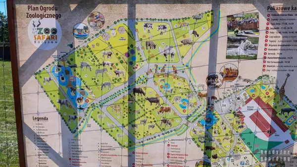 Mapa zoo Borysew z trasą spaceru. Zobacz zwierzęta, figlarnię i edukację plenerową.