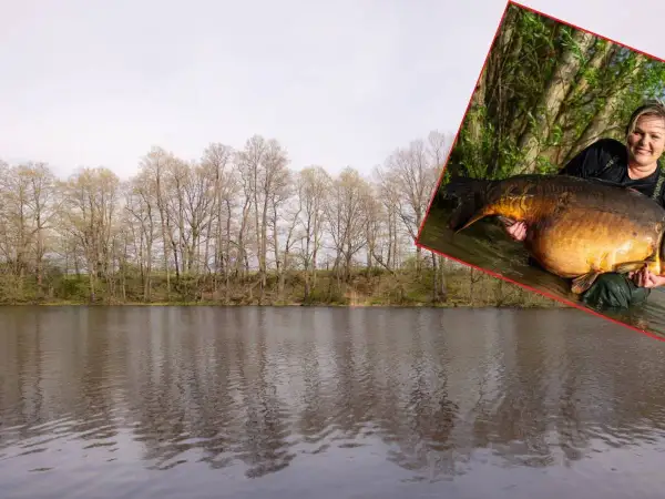 Kobieta trzyma ogromnego karpia, który może być rekord świata karp 100 kg.