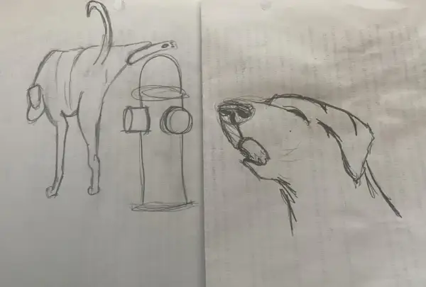 Bocetos de perros y un hidrante, perfectos como dibujos de animales para dibujar.