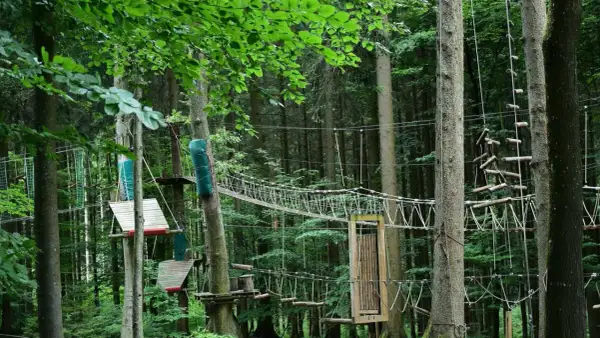 Park linowy w lesie z mostkami, drabinkami i platformami między drzewami.