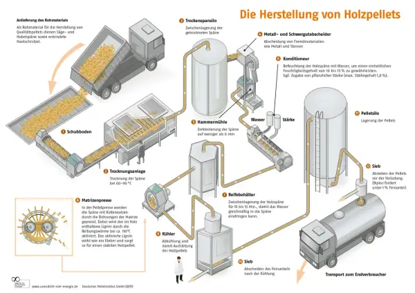So werden Pellets hergestellt: Rohmaterial wird getrocknet, zerkleinert, konditioniert und dann in der Matrizenpresse zu Pellets geformt. Nach Kühlung und Siebung erfolgt die Lagerung im Pelletsilo.