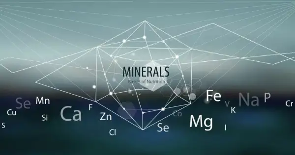 Grafika przedstawia schematyczne połączenia między symbolami pierwiastków chemicznych, takich jak Fe, Na, Mg, Ca, Se, Mn, Cu, Zn, Cl, F, S, K, P, Cr, Co, I. W centrum znajduje się napis "MINERALS Basics of Nutrition". Obraz podkreśla znaczenie mikroele...