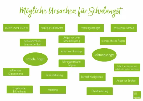 Ursachen für Schulangst: soziale Ausgrenzung, geringer Selbstwert, Versagensangst, Wissensrückstand, Angst vor dem Schulübergang, fachspezifische Ängste, Leistungsangst, schlechtes Klassenklima, Angst vor Blamage, lehrerspezifische Ängste, Reizüberflut...