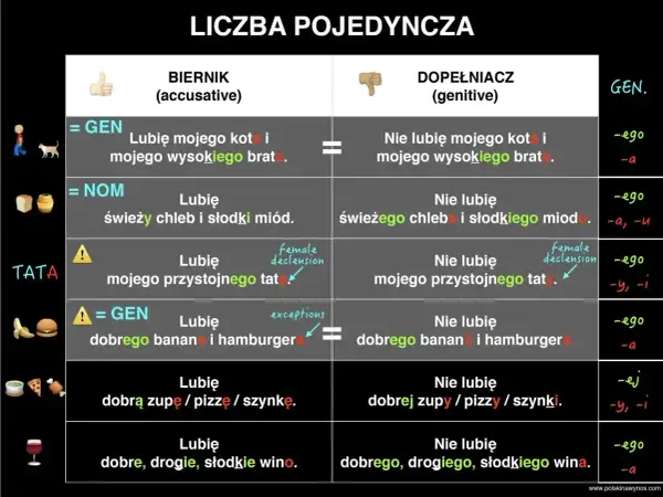 Tabela porównuje przypadki biernik i dopełniacz w liczbie pojedynczej, pokazując użycie przyimków i odmianę rzeczowników.