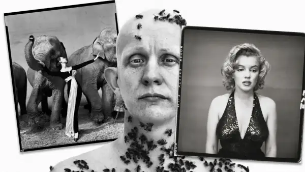 Un collage de imágenes icónicas de Richard Avedon: una mujer con elefantes, un hombre cubierto de abejas y Marilyn Monroe.