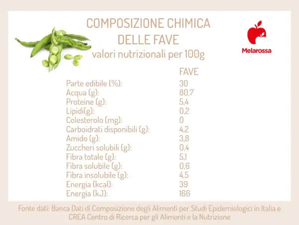 Composizione chimica delle fave: valori nutrizionali per 100g, con dettagli su acqua, proteine, lipidi e fibre.