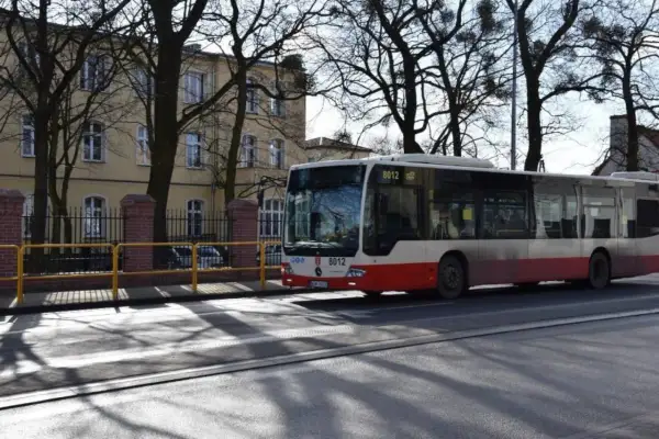 Autobus linii 107 w Pruszczu Gdańskim zbliża się do przejścia dla pieszych.
