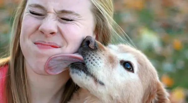 Por qué me lame mi perro: razones detrás de este comportamiento inquietante