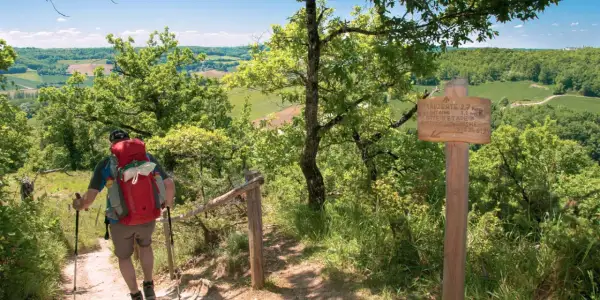 Randonnées Tarn et Garonne : un marcheur avec un sac à dos rouge monte un sentier boisé, dominant un paysage verdoyant. Panneau indicateur de Lauzerte.