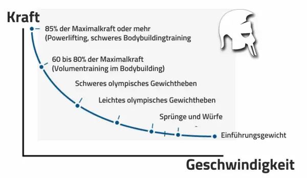 Kurve zeigt: Hohe Kraft (85%+) für Muskelaufbau durch schweres Bodybuildingtraining, geringere Kraft für Geschwindigkeit.