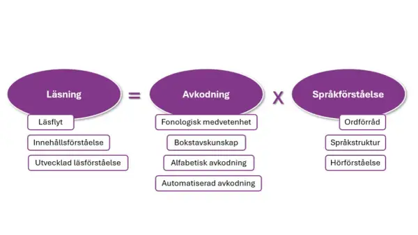 Diagram visar att läsning är en procedure svenska som bygger på avkodning och språkförståelse.