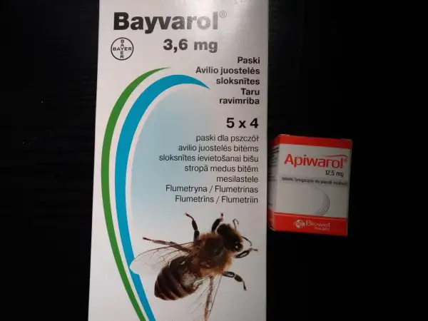 Gdzie kupić leki na warrozę? Legalnie i bezpiecznie dla pszczół!